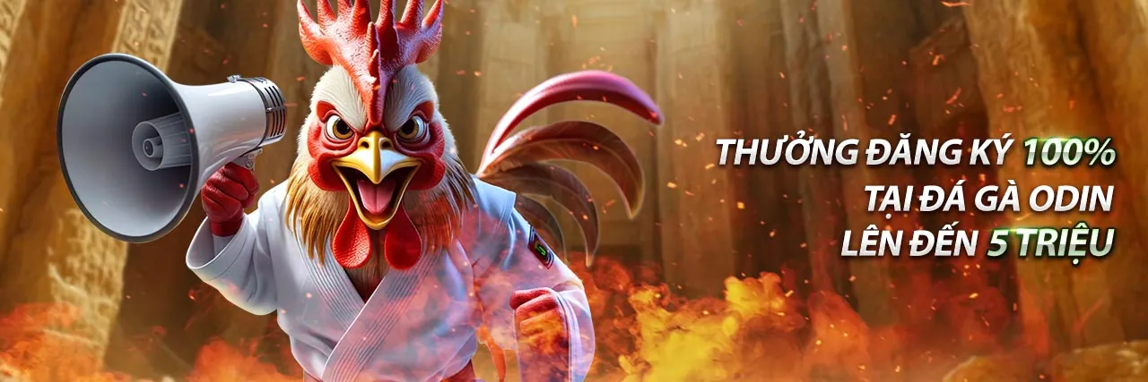 Đội ngũ hỗ trợ khách hàng Alo789 App